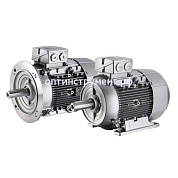 4043103012 Электродвигатель 1LG4206-2AA66-Z