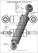 Гидроцилиндр ЦГ-100.50х320.795.11