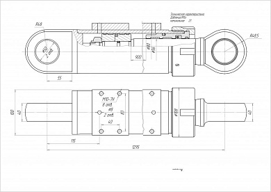 Гидроцилиндр ЦГ-80.56х900.22