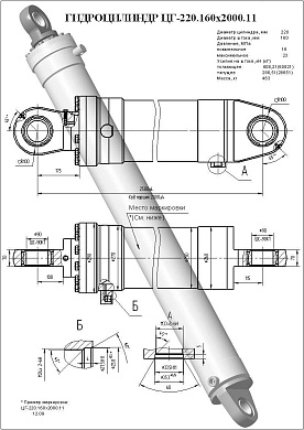 Гидроцилиндр ЦГ-220.160х2000.11
