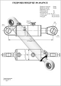 Гидроцилиндр ЦГ-80.40х450.22