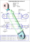 Гидроцилиндр ЦГ-80.50х560.17